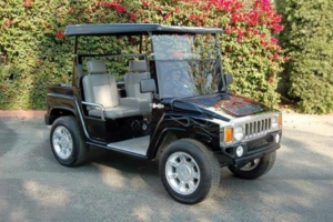 affordable golf cart rental, golf cart rent tennessee golf cart rental 