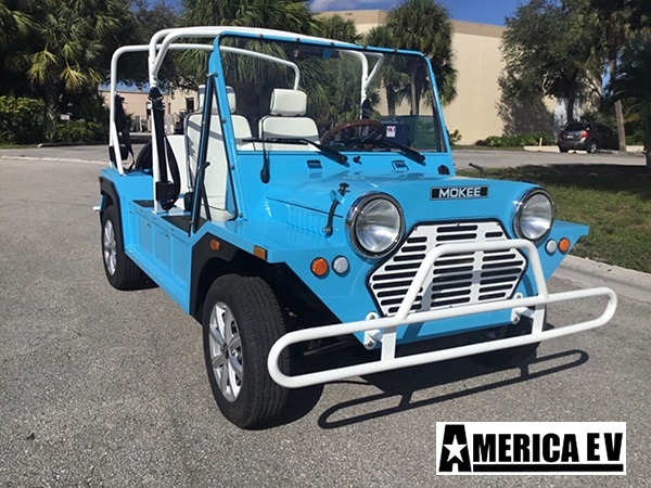 affordable golf cart rental, golf cart rent tennessee golf cart rental 