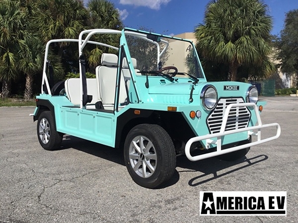 affordable golf cart rental, golf cart rent tennessee golf cart rental 